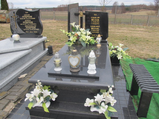 Grób Leokadia Bujak